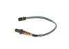 Oxygen Sensor -