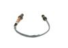 Oxygen Sensor -