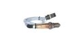 Oxygen Sensor -