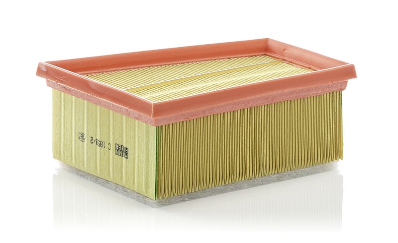 Air Filter Ren. Clio II/Megane II 05-