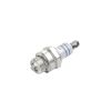 Spark Plug -