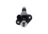 lnjection Pump -
