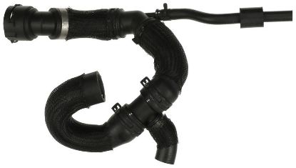 Radiator Hose -