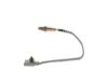 Oxygen Sensor -
