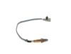 Oxygen Sensor -