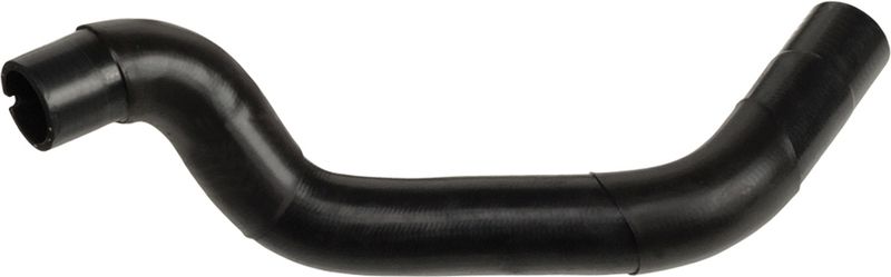 Radiator Hose -