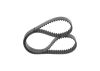 Timing Belt -