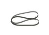V-Ribbed Belt -