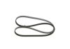 V-Ribbed Belt -