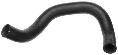 Radiator Hose -