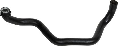 Radiator Hose -