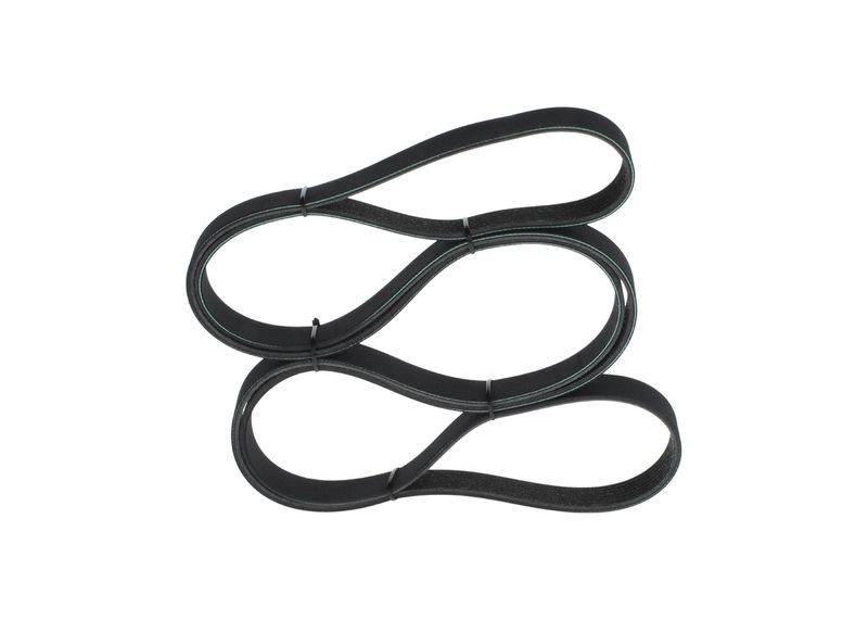 V-Ribbed Belt - V-Ribbed Belt -