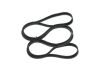 V-Ribbed Belt -