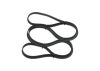 V-Ribbed Belt -