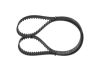 Timing Belt -