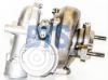 Charger, charging (supercharged/turbocharged) -