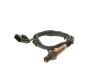 Oxygen Sensor -