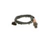 Oxygen Sensor -