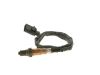 Oxygen Sensor -