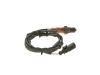 Oxygen Sensor -