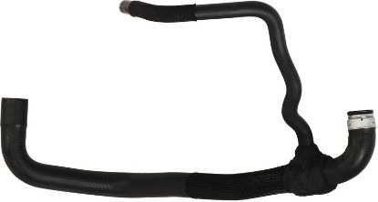 Radiator Hose -