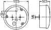 Tail Light Assembly -