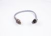 Oxygen Sensor -