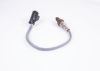 Oxygen Sensor -