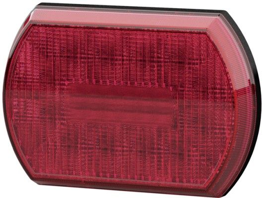 Tail Light Assembly -