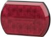 Tail Light Assembly -