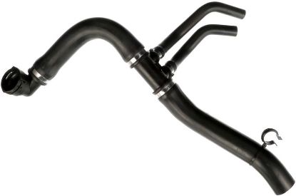 Radiator Hose -