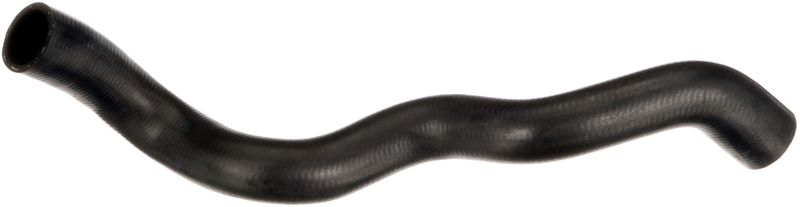 Radiator Hose -