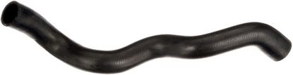 Radiator Hose -