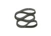 V-Ribbed Belt -