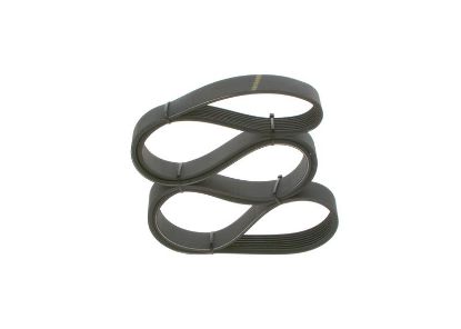 V-Ribbed Belt - V-Ribbed Belt -