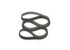 V-Ribbed Belt -