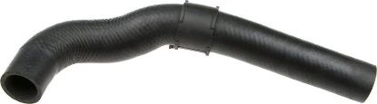 Radiator Hose -