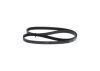 V-Ribbed Belt -