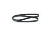 V-Ribbed Belt -
