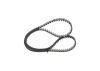 Timing Belt -