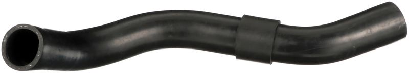 Radiator Hose -