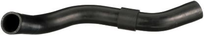Radiator Hose -