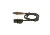 Oxygen Sensor -