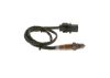 Oxygen Sensor -