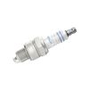 Spark Plug -