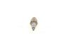 Spark Plug LAND ROVER, RENAULT