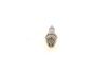 Spark Plug LAND ROVER, RENAULT