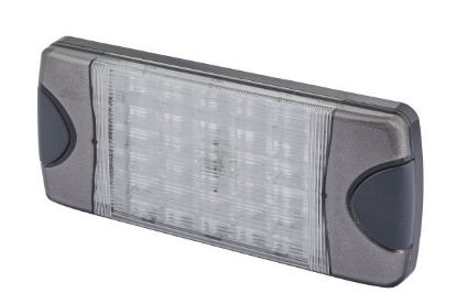 Tail Light Assembly -