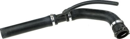 Radiator Hose -