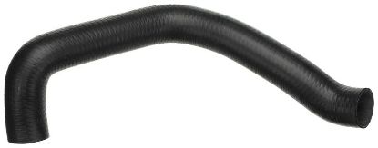 Radiator Hose -